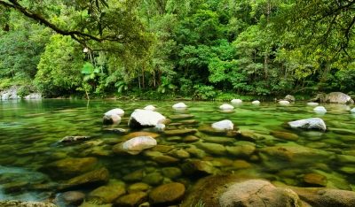 THE BEST VOLUNTARY JOB IN QUEENSLAND