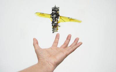 Robot bọ bay có khả năng tự phục hồi cánh sau va chạm
