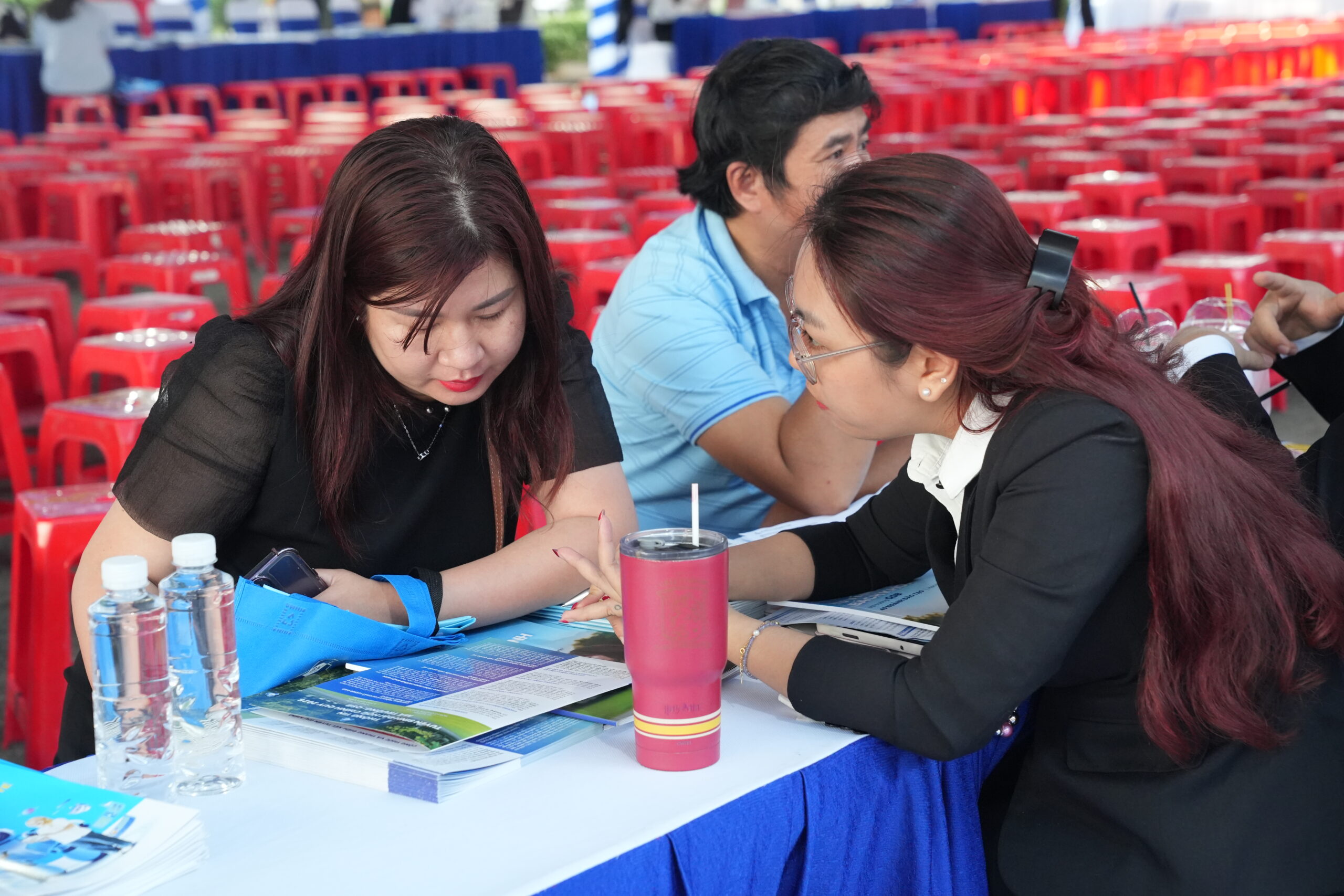 Tư vấn ngành và các chương trình quốc tế